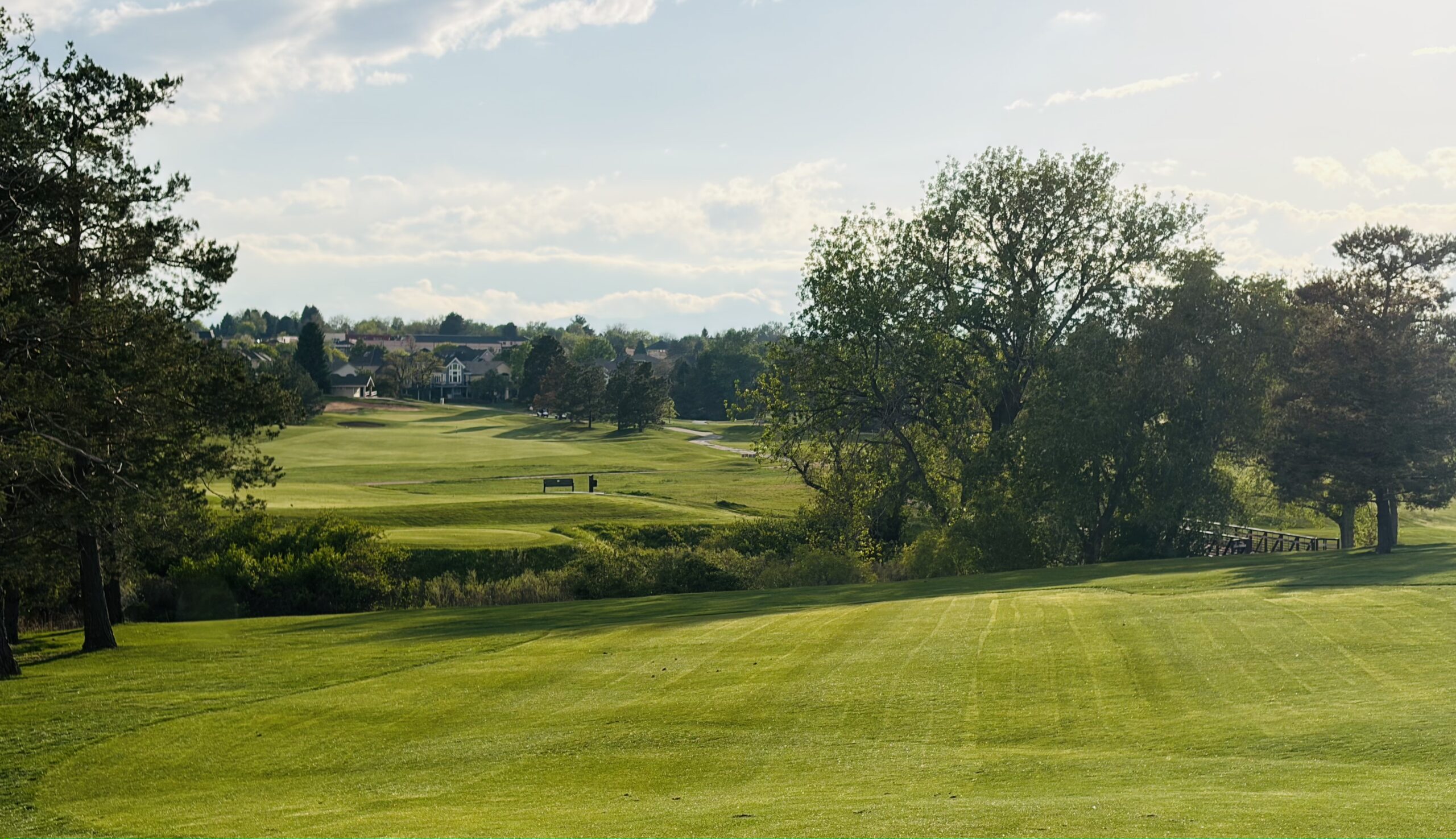 Golf view, trees and fairway