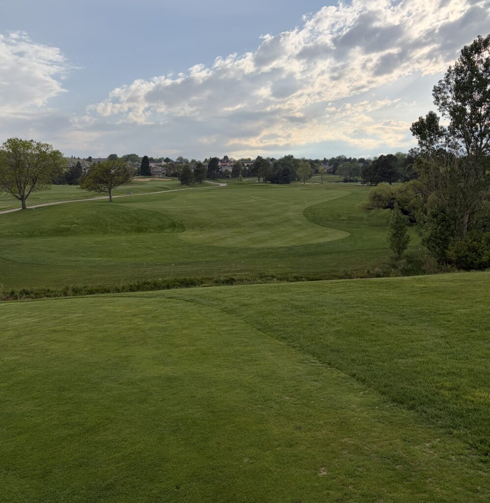 golf picture